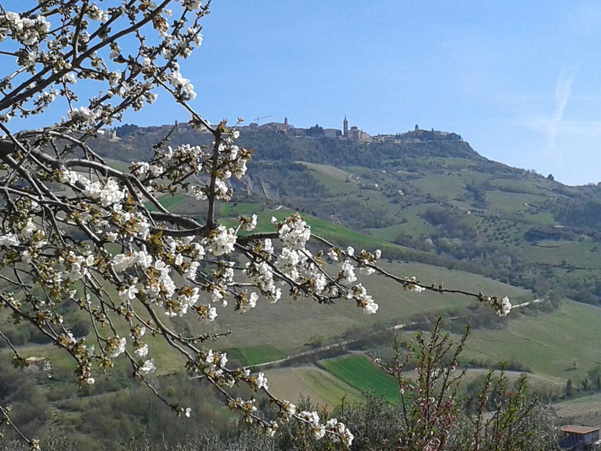 Il Podere Del Nonno Bed & Breakfast Ripatransone Exterior photo